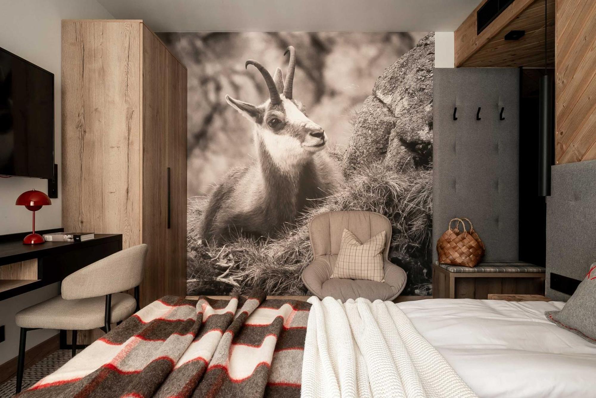 Stefanova Zakopane Aparthotel & Spa エクステリア 写真